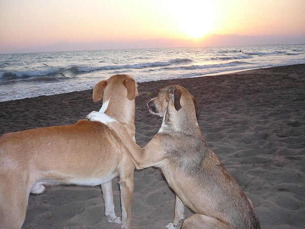 med_Komm doch mit!.jpg (600 x 450)